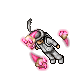 Pink Skull Circle