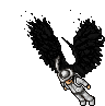 Black Devil Wing Black Devil Wing