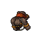 Gorongra Gorongra